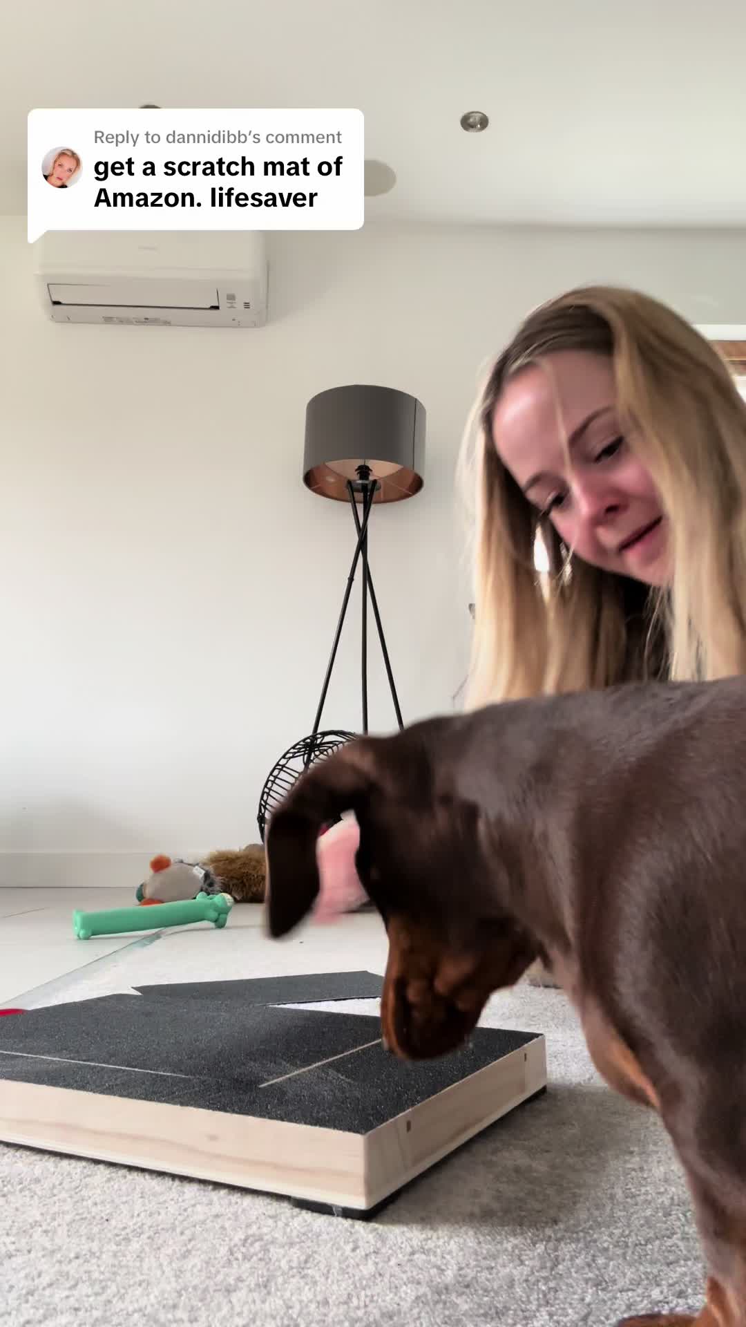 @sausagedogsisters