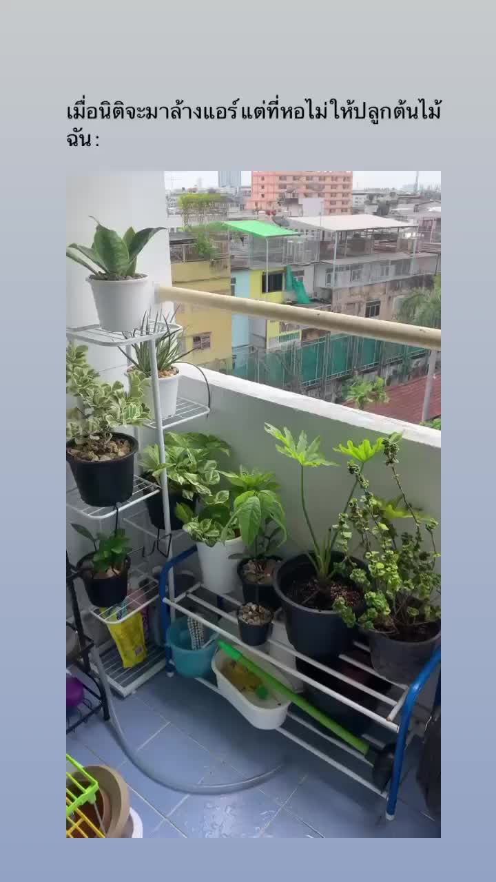 @ว้อยที่แปลว่าขนม