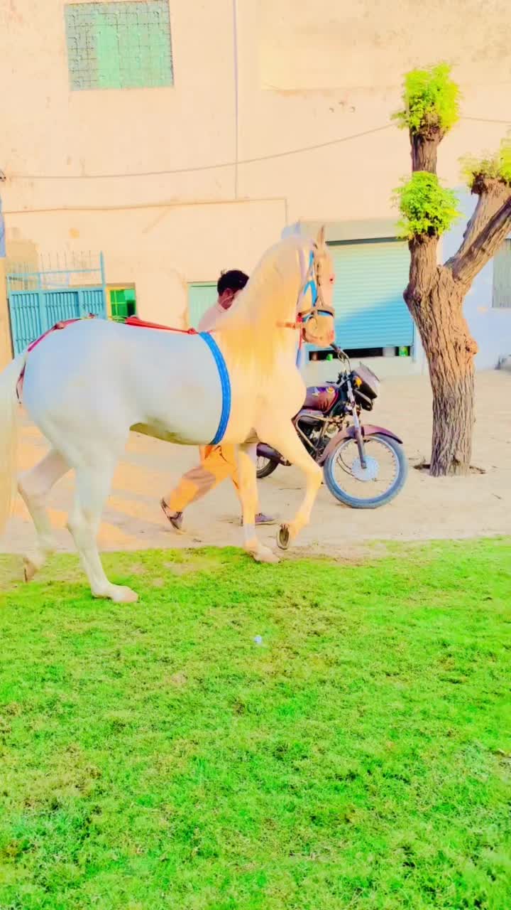 @Furqan gujjar