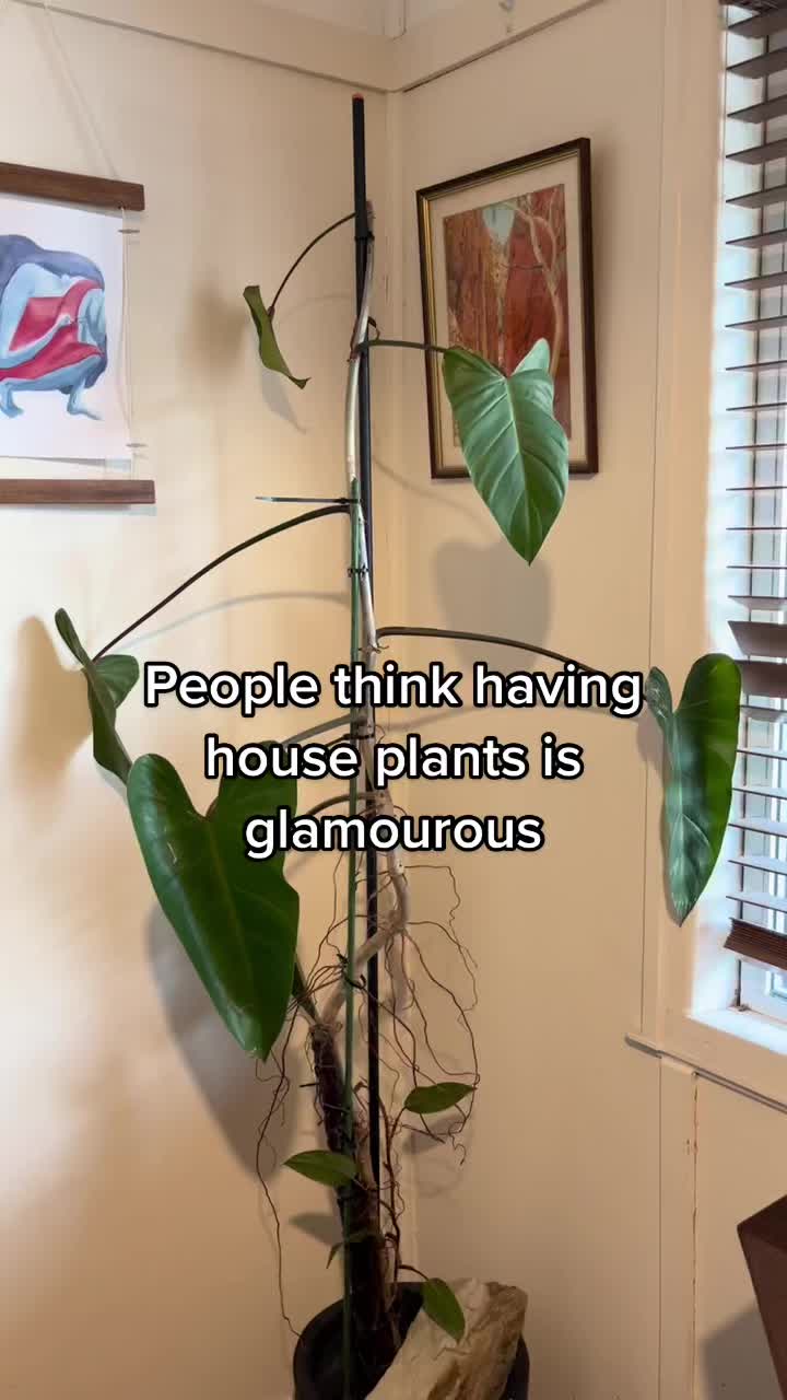 @_chichi3000