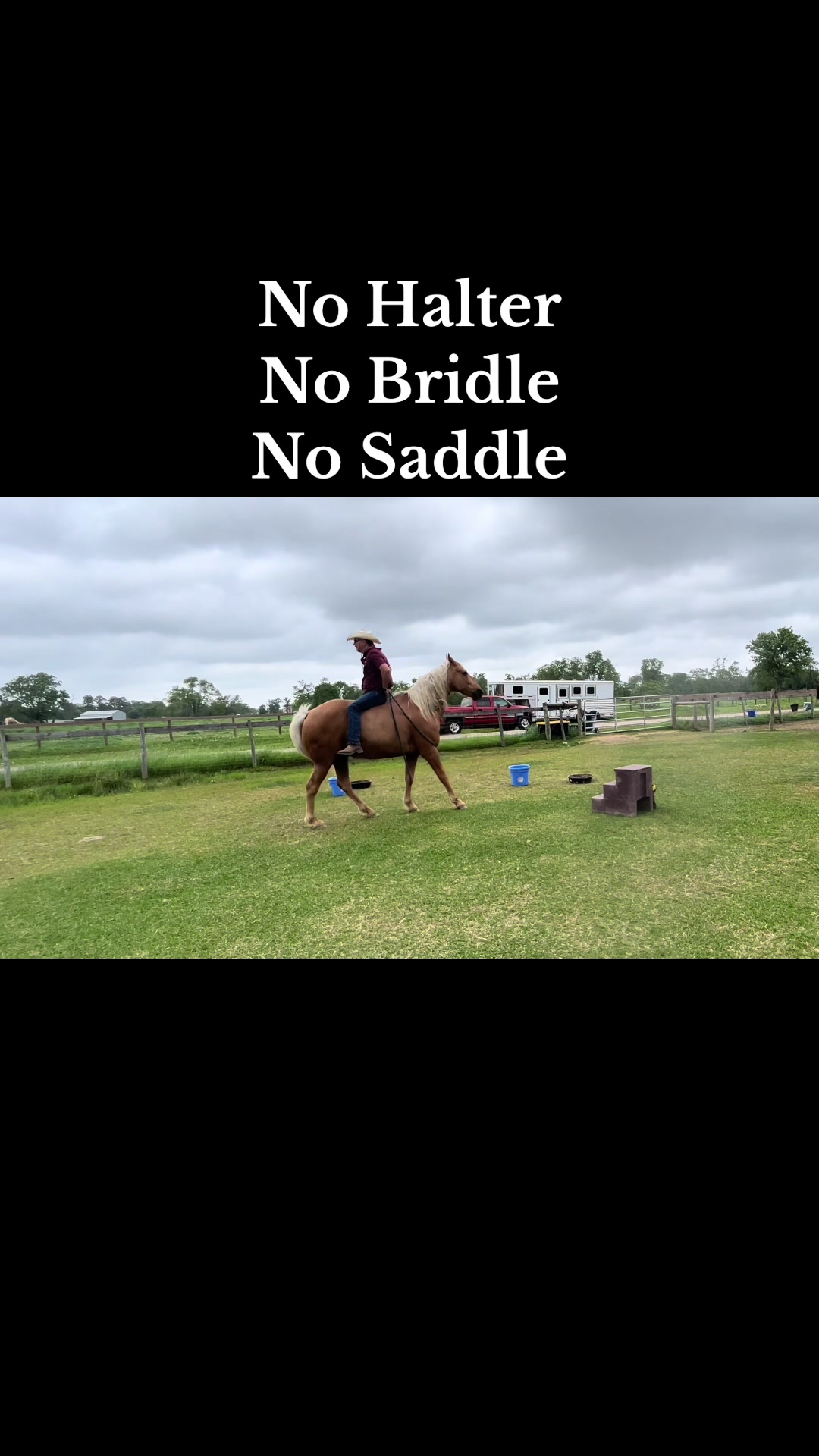 @CowboyBob_Horsemanship
