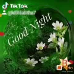@user5075467890791