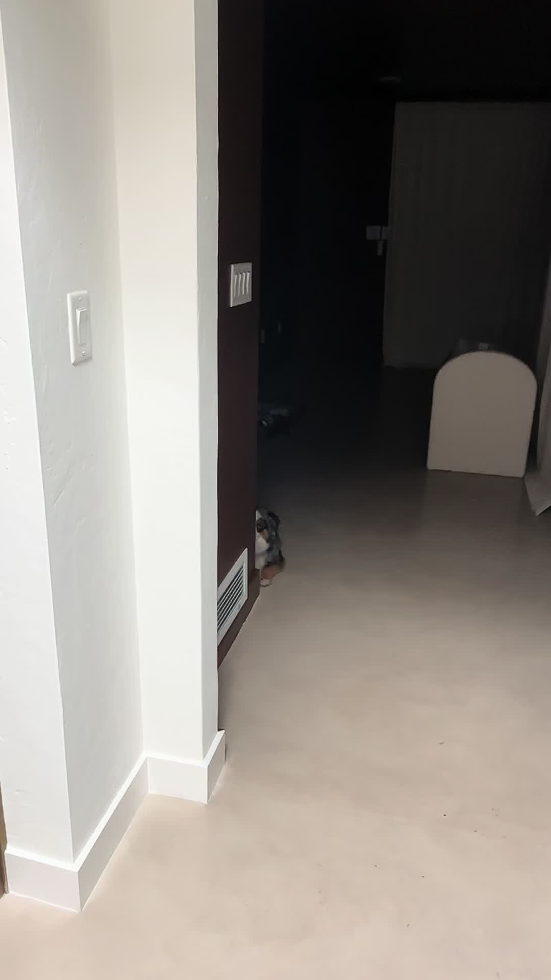 @Chonkster