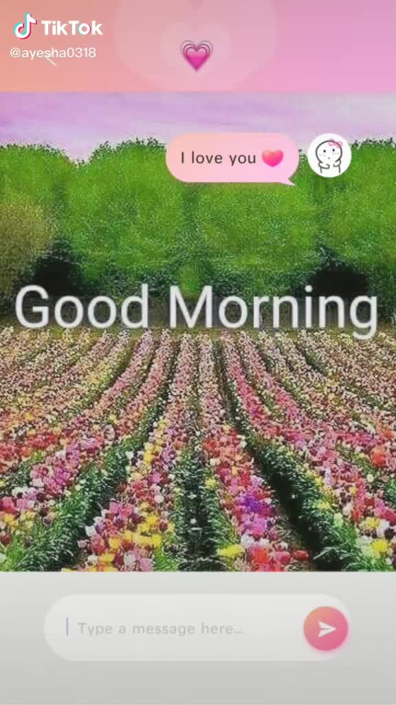 @Riaz Sha🇵🇰🇵🇰🌹🇵🇰❤️❤️💙