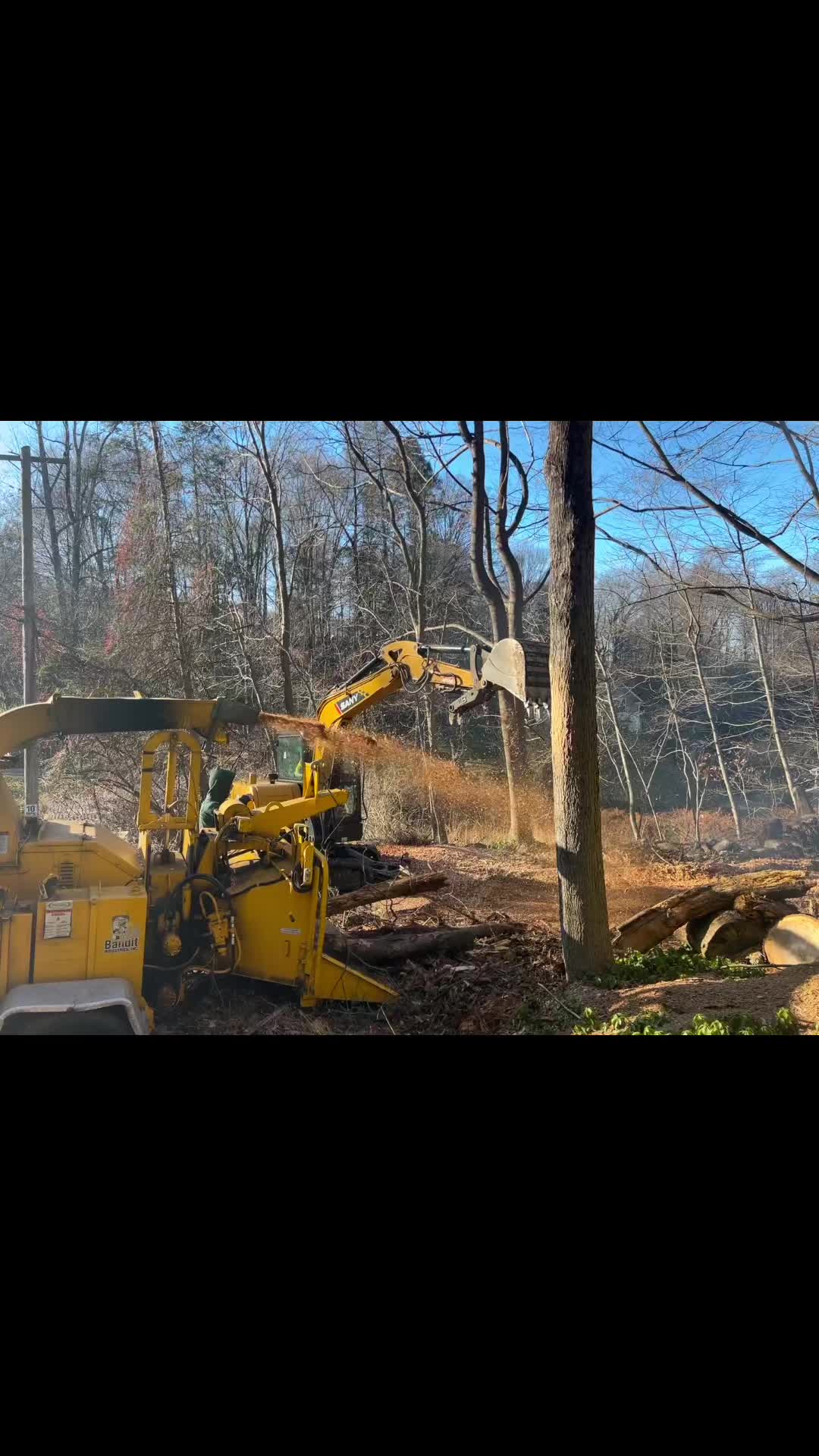 @Chads Tree Service