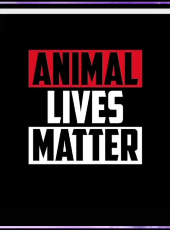 @love animals🥺❤