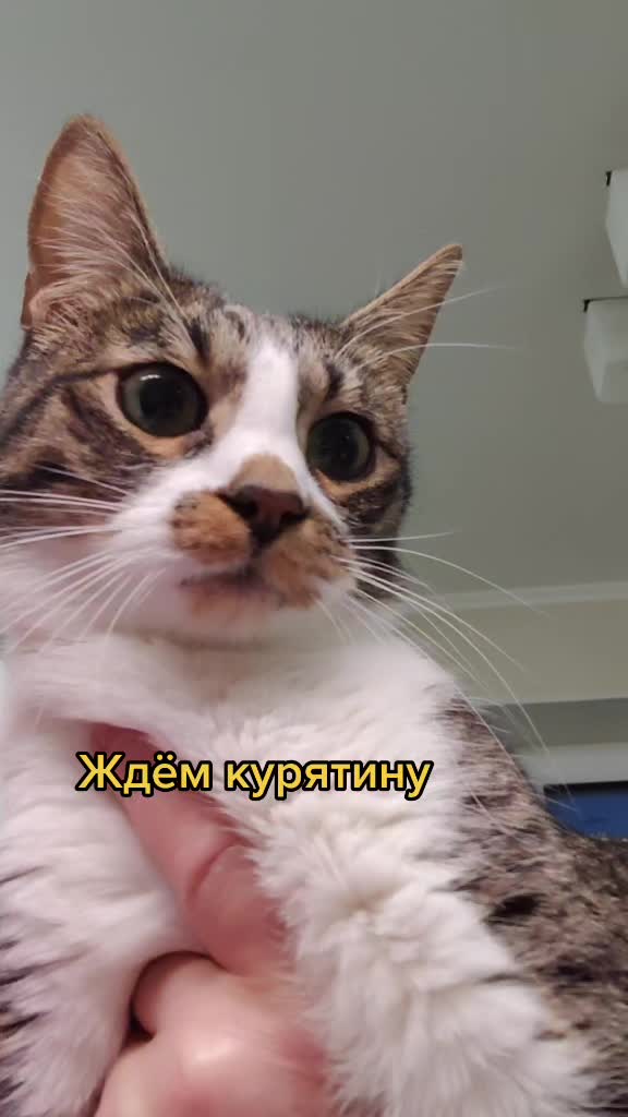 @Miki Мики