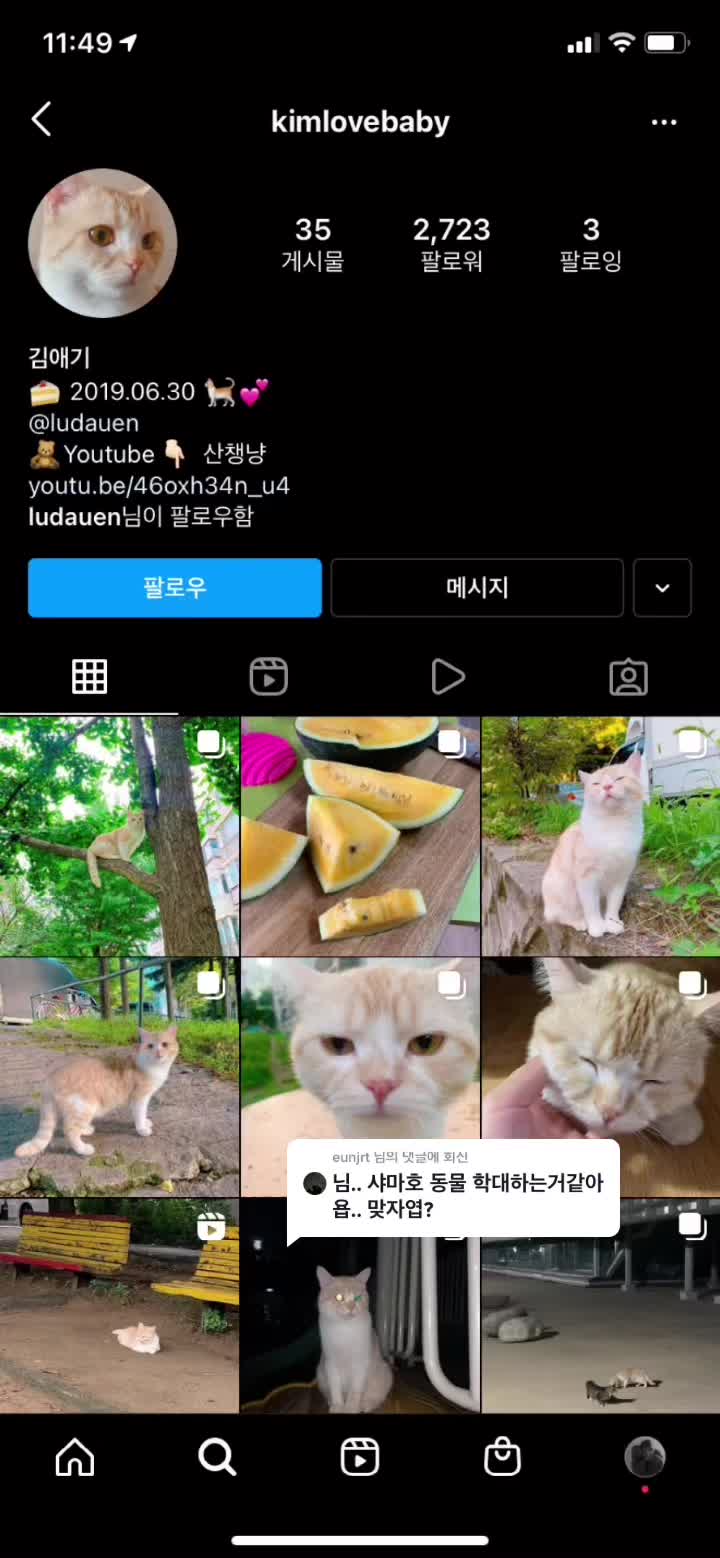 @친구를 만나느라 샤샤샤머호