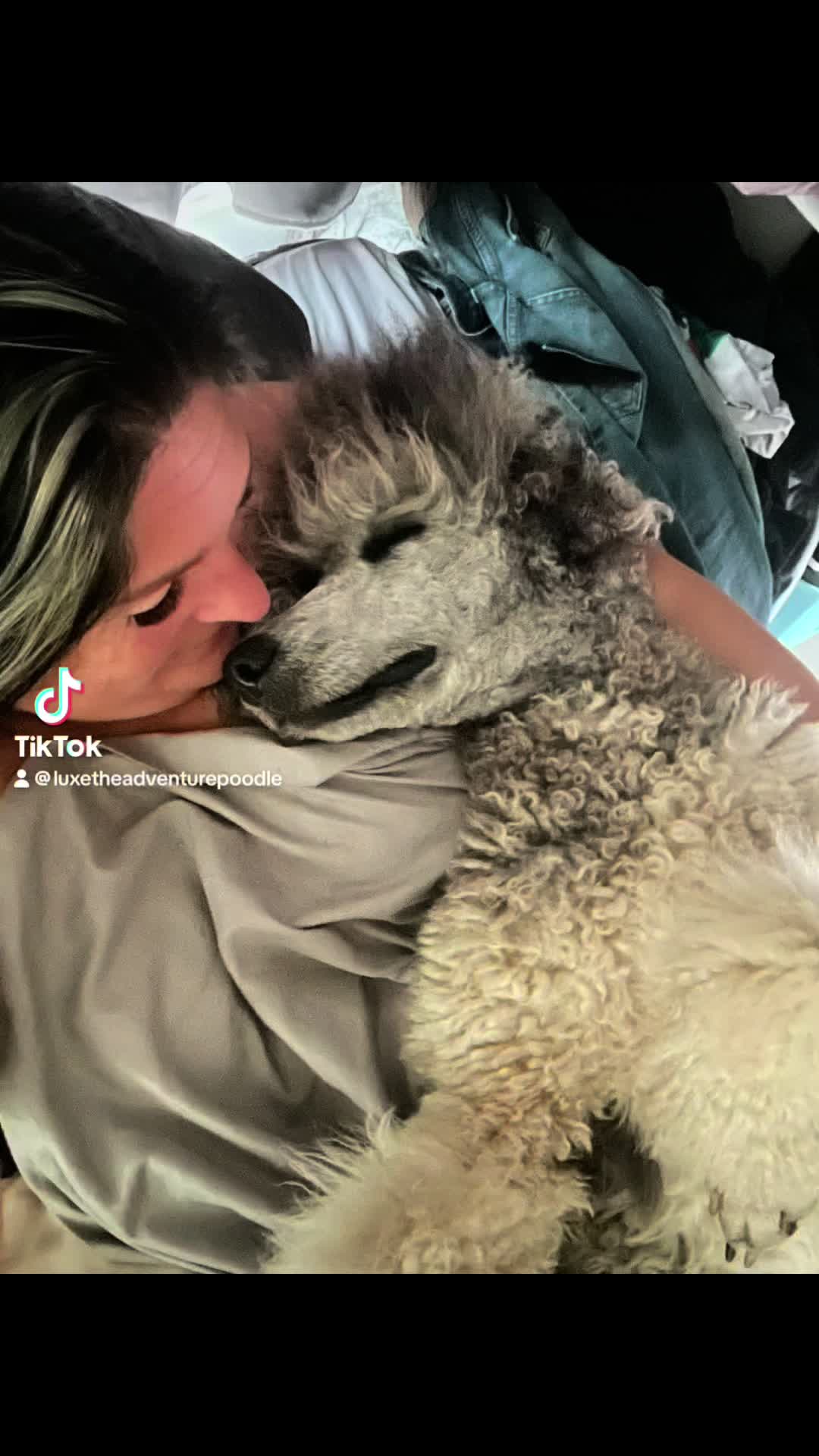 @Luxe The Adventure Poodle