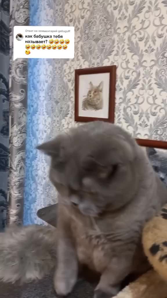 @Жанночка