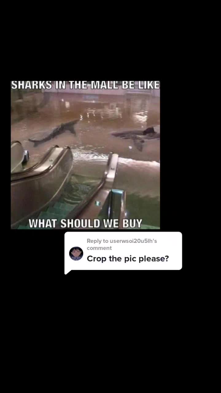 @Nova
