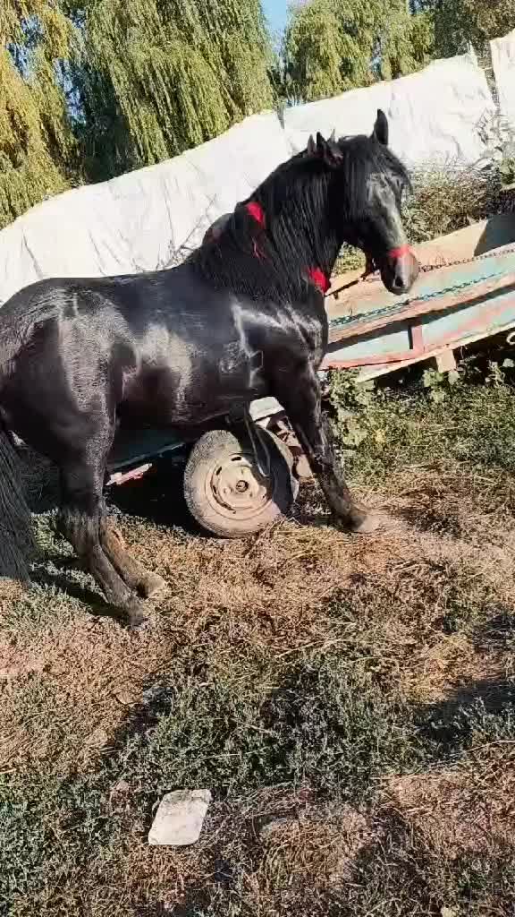 @Cătălin