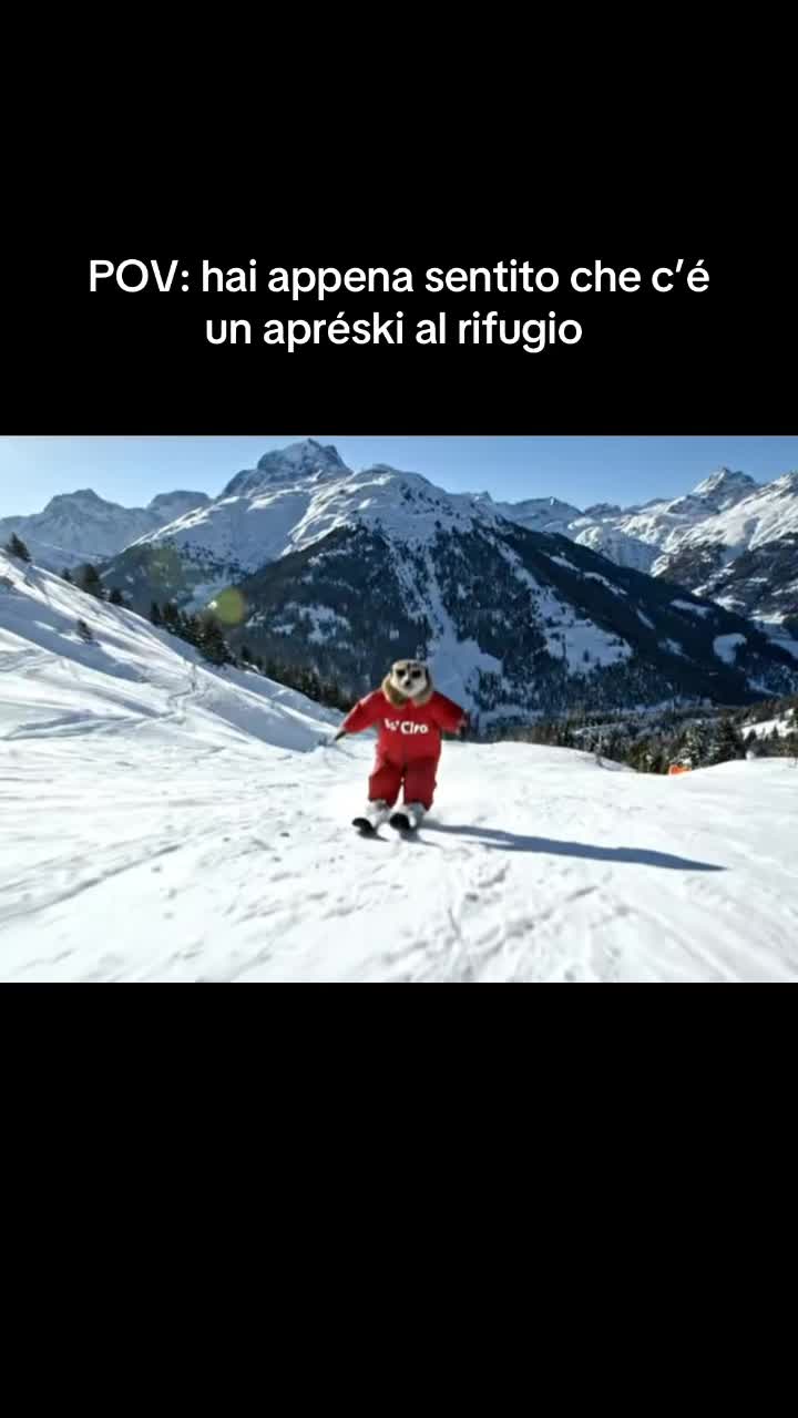 @Ciro il suricato