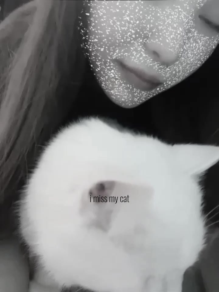 @๐๐๐๐๐ค๐๐ฅ๐ฅ