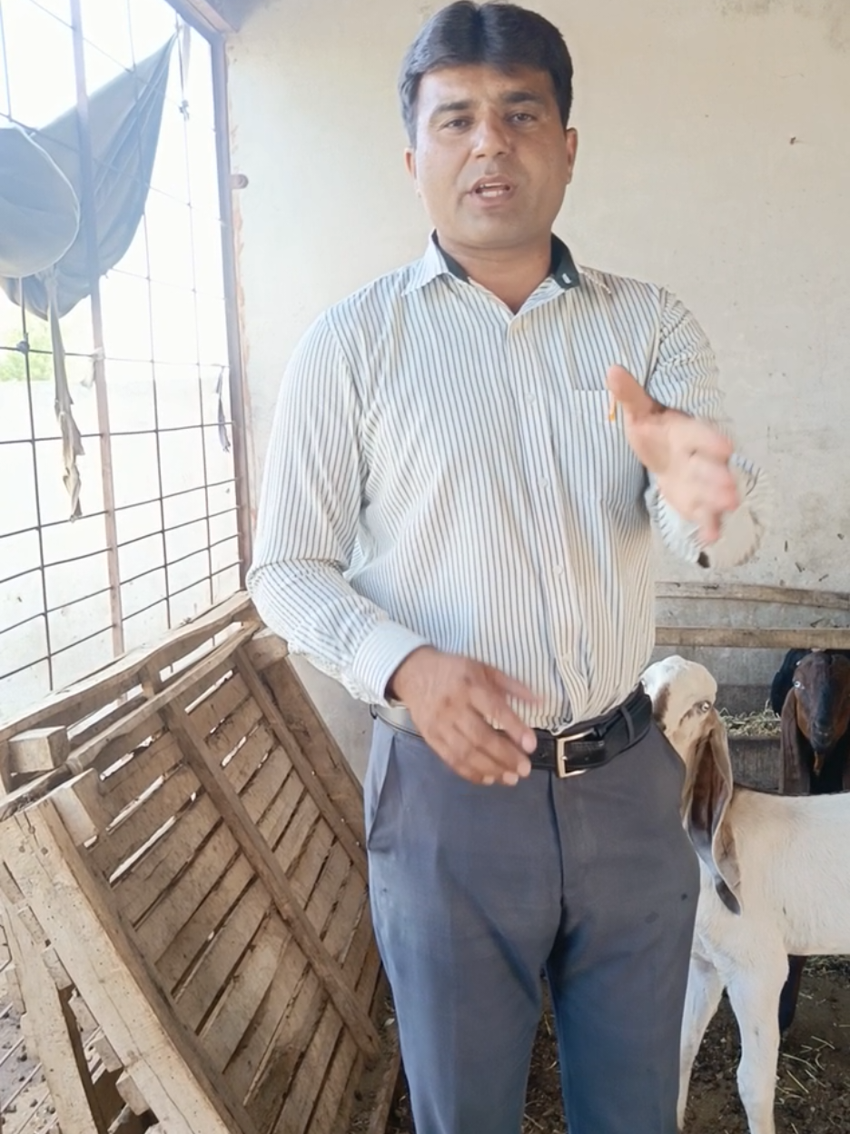 @Animal success