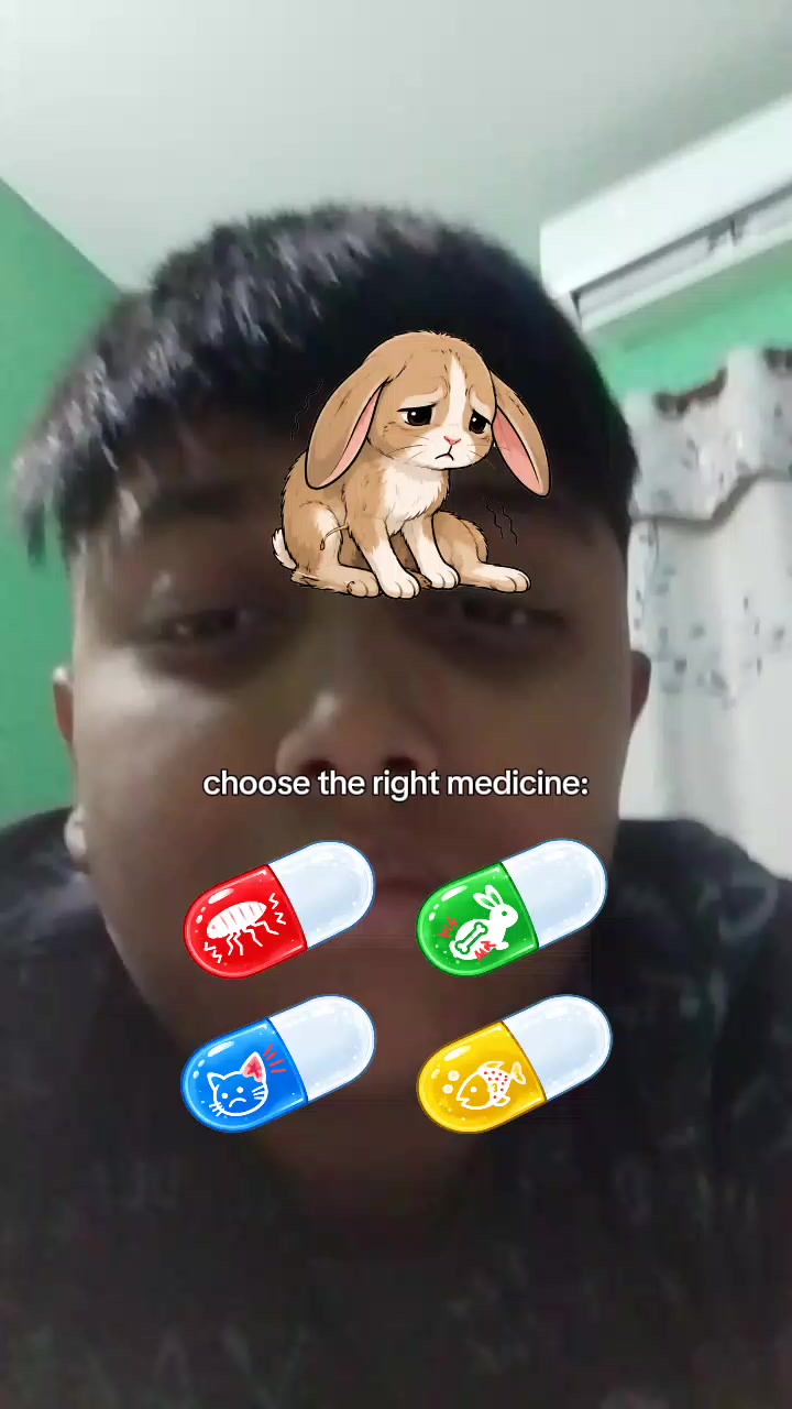 @P Raja Damani