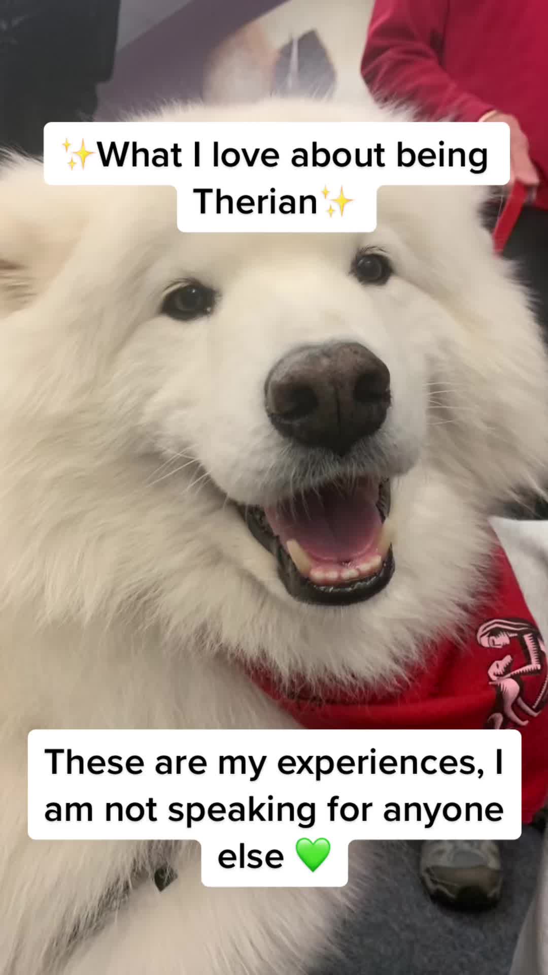 @Snowwystripes
