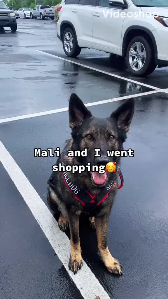 @Mali, Meadow, + Nemo 🥰❤️🥰