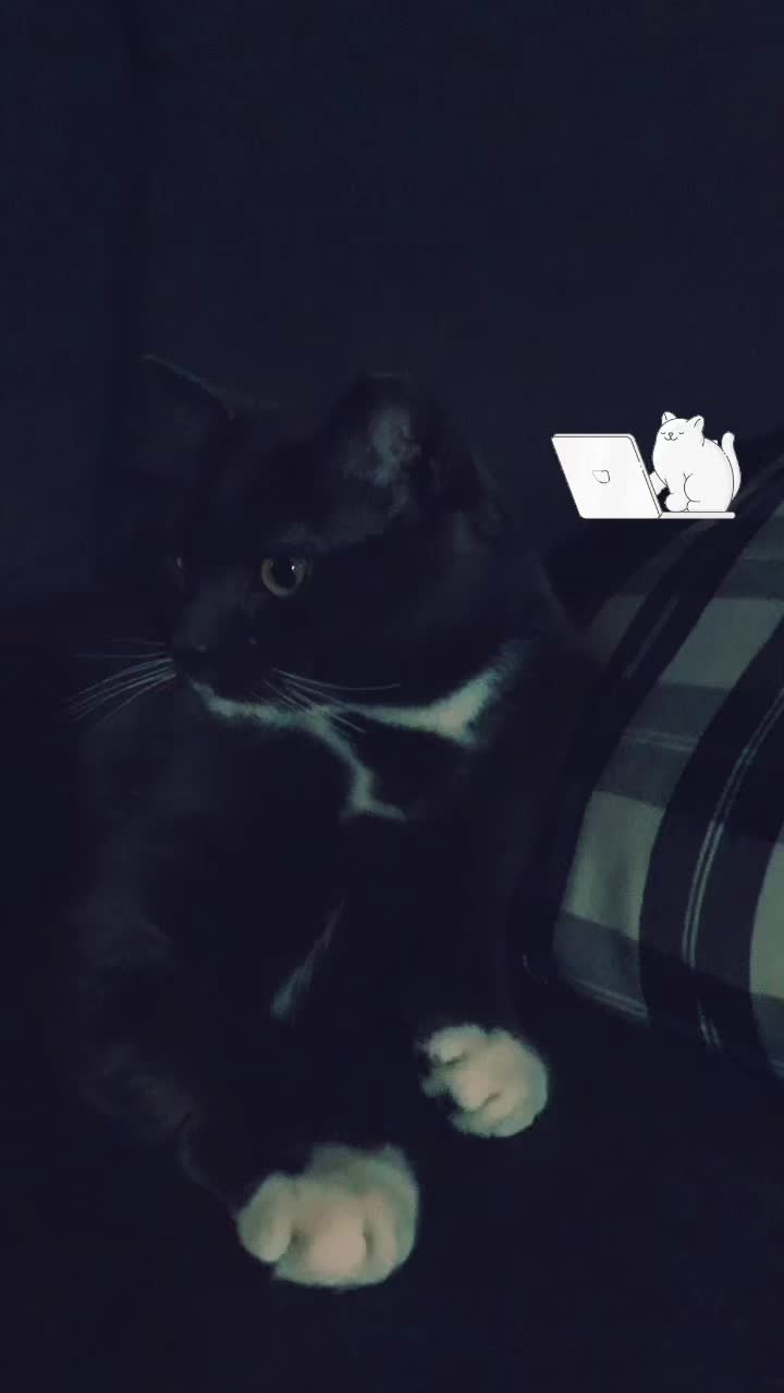 @Grayartcat