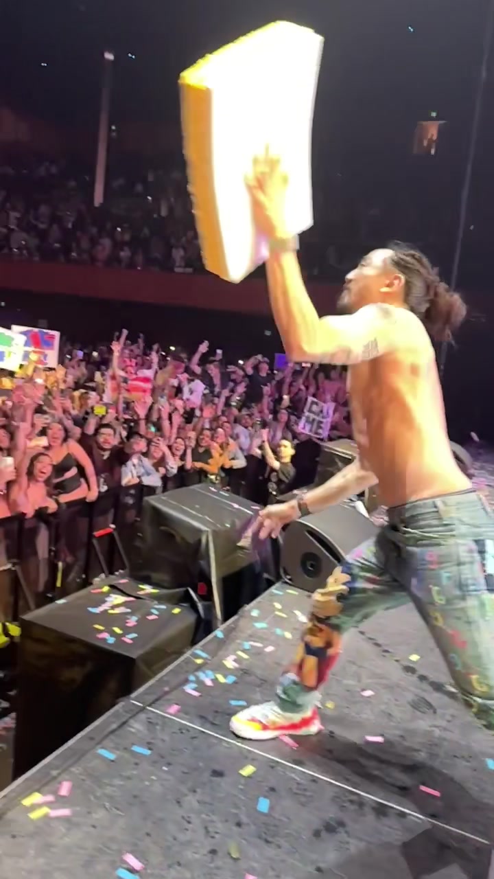 @Steve Aoki