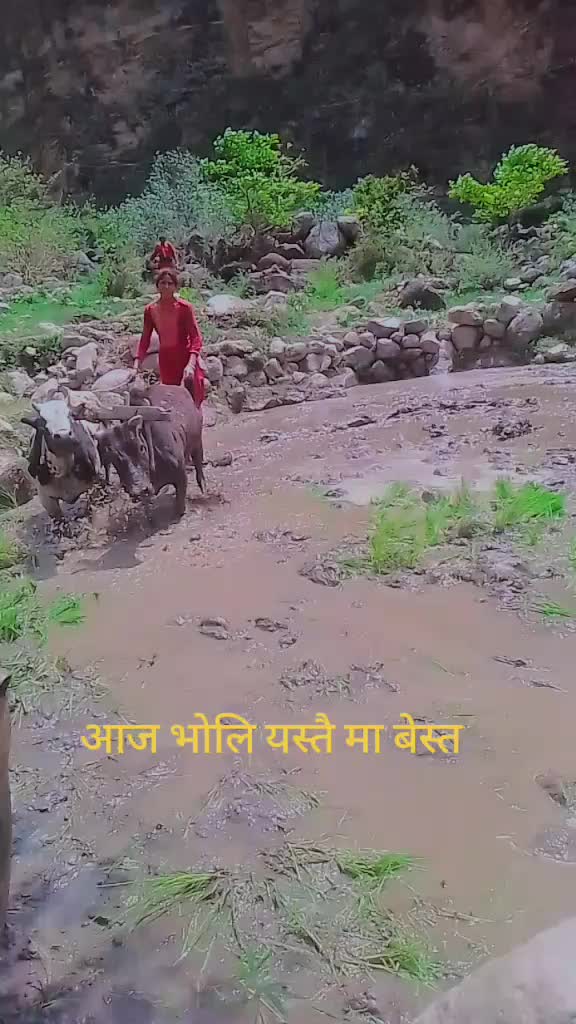 @srijana upadhyay