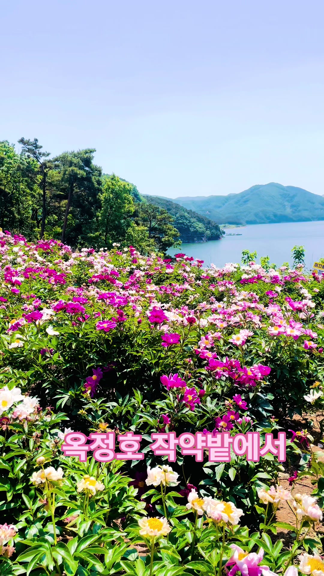 @yeoni(여니)