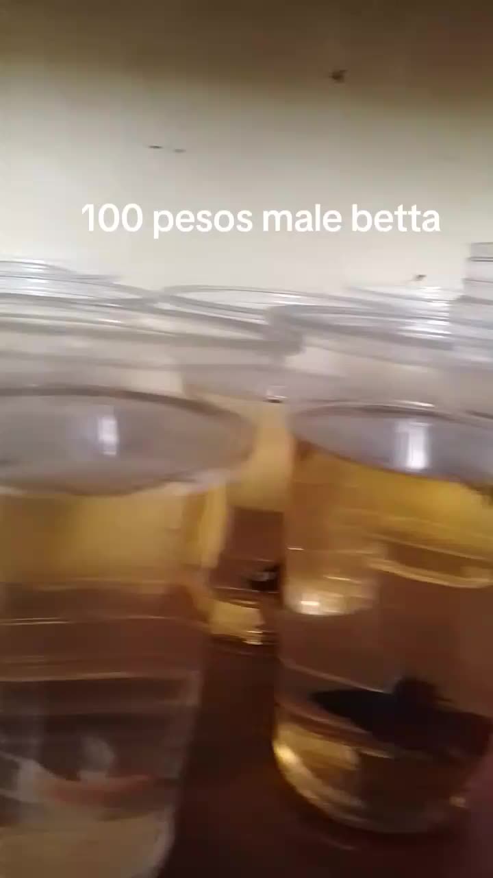 @H4rt