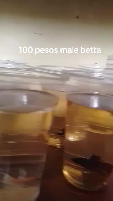 @H4rt