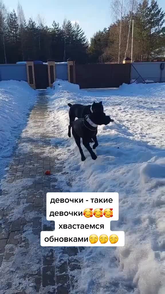 @Radychka33