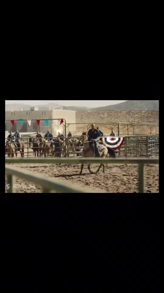 @🖇horses🖇