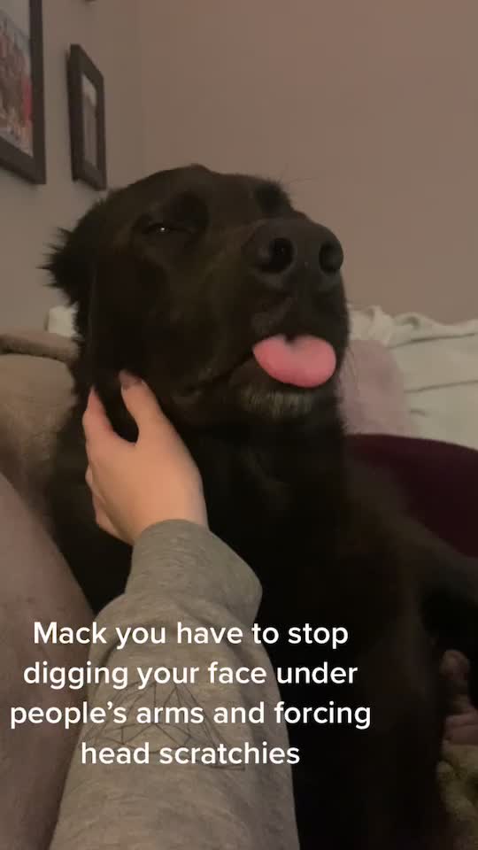 @Shae Macklin