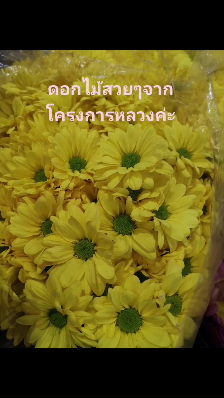 @Neung5159