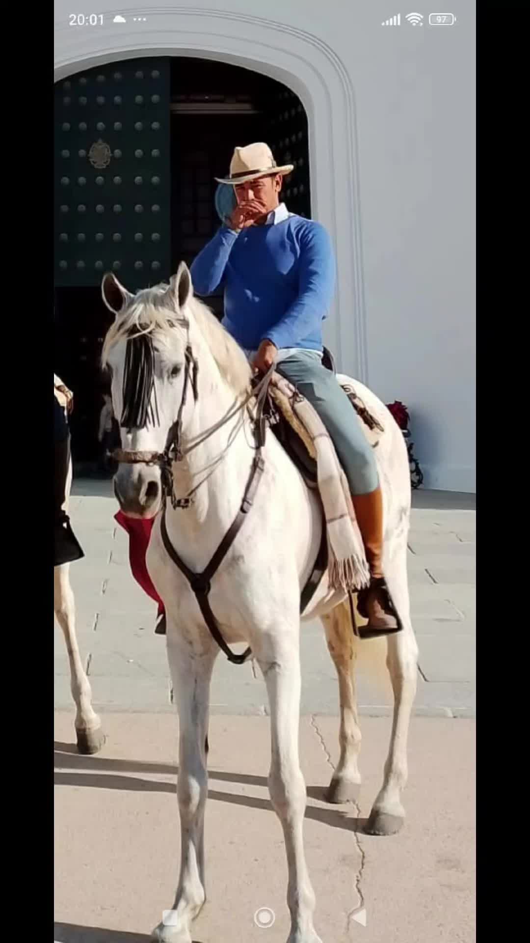 @Enrique Salas Salguero