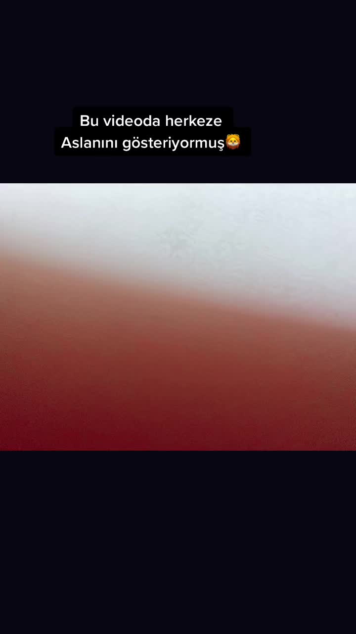 @🍀M.Emir & Ada Lina BURHAN🍀