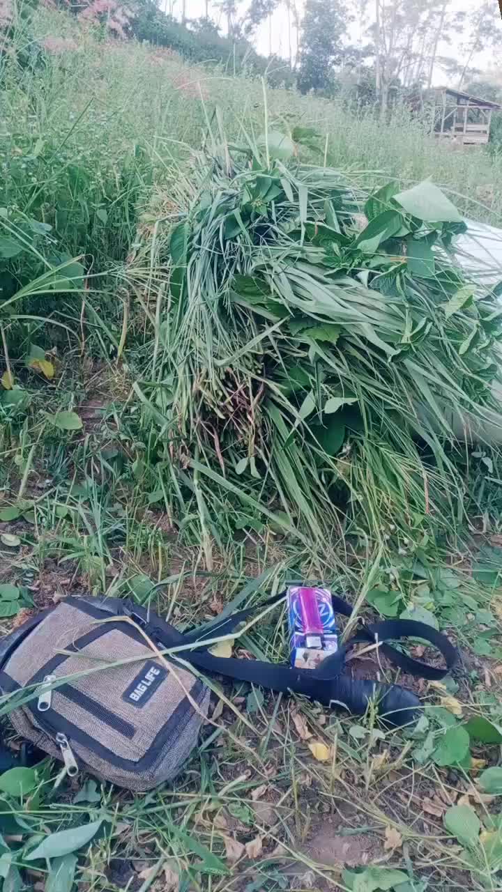 @user2362096972611
