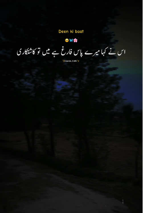 @🌸 LUQMAN EDITS ✍️