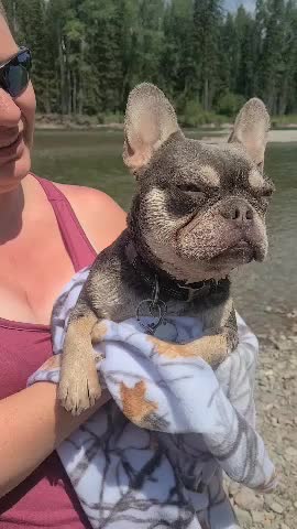 @AdventuresofMumford