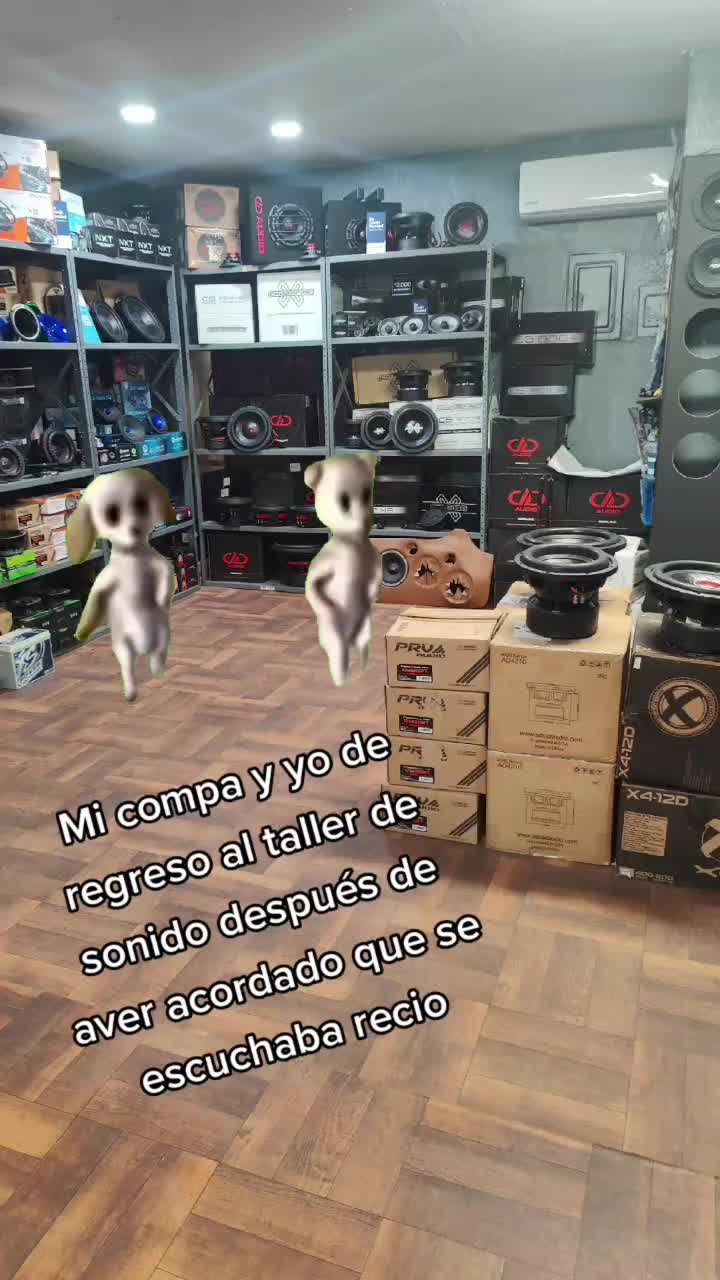 @angel lopz