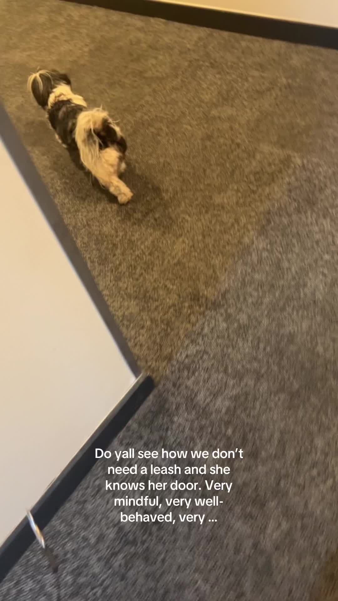@Mekayla