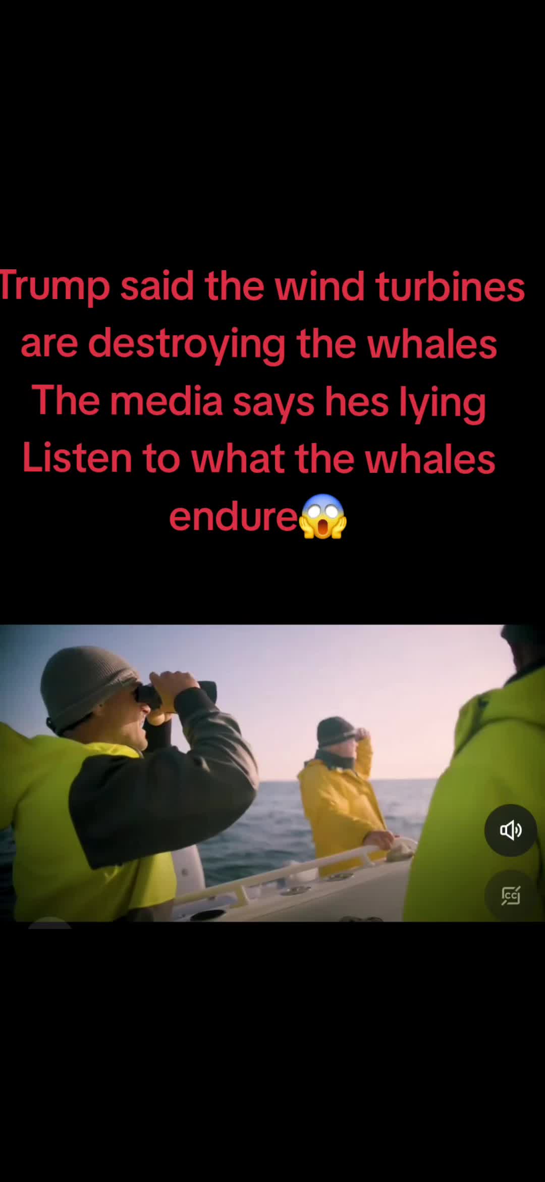 @๐ธ๐ฃ๐๐๐๐๐๐๐๐ฅ๐๐๐๐๐ค