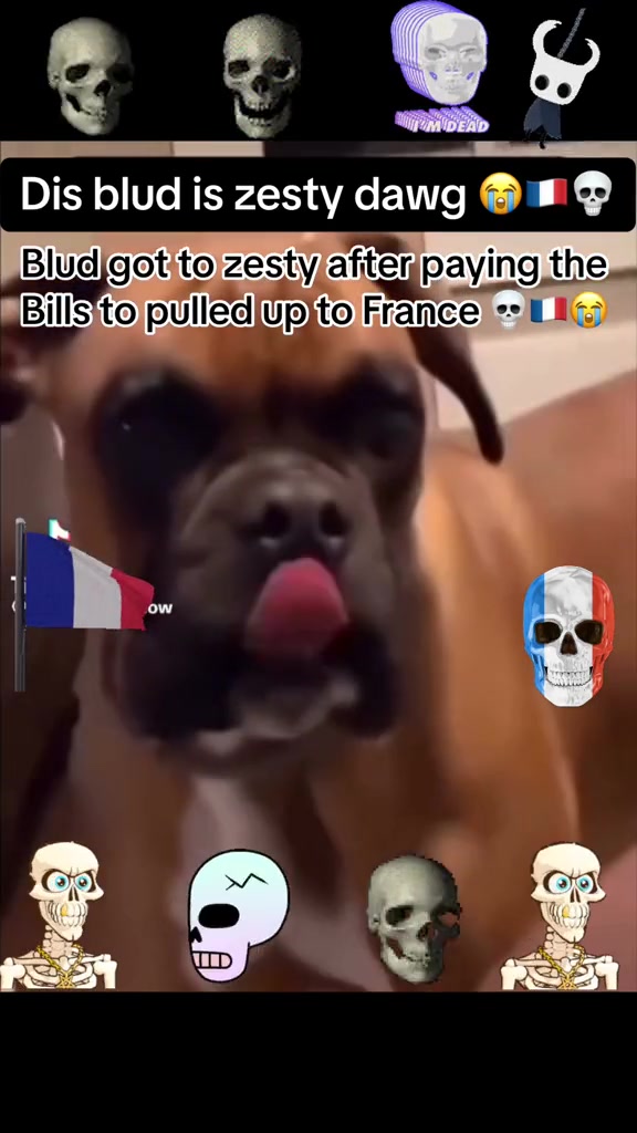 @TheSniffer