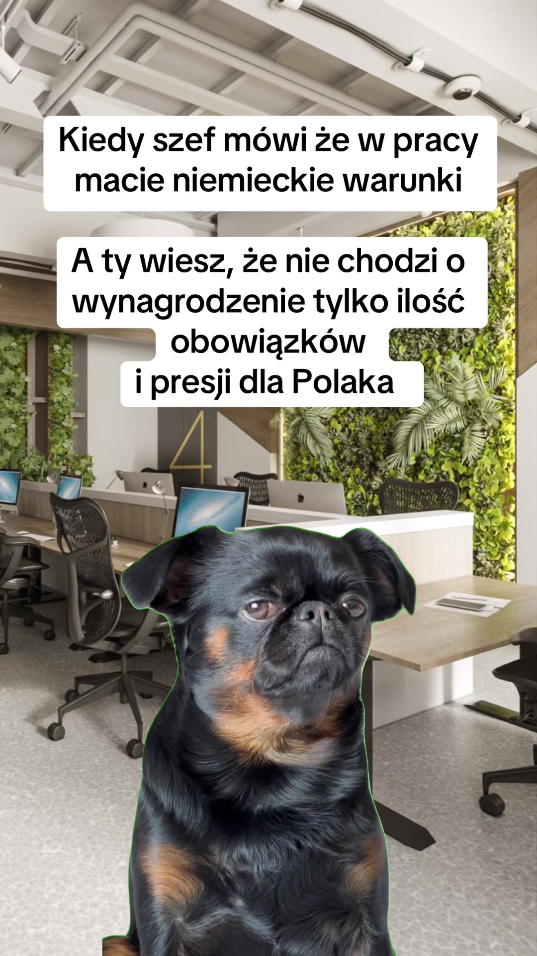 @mem08