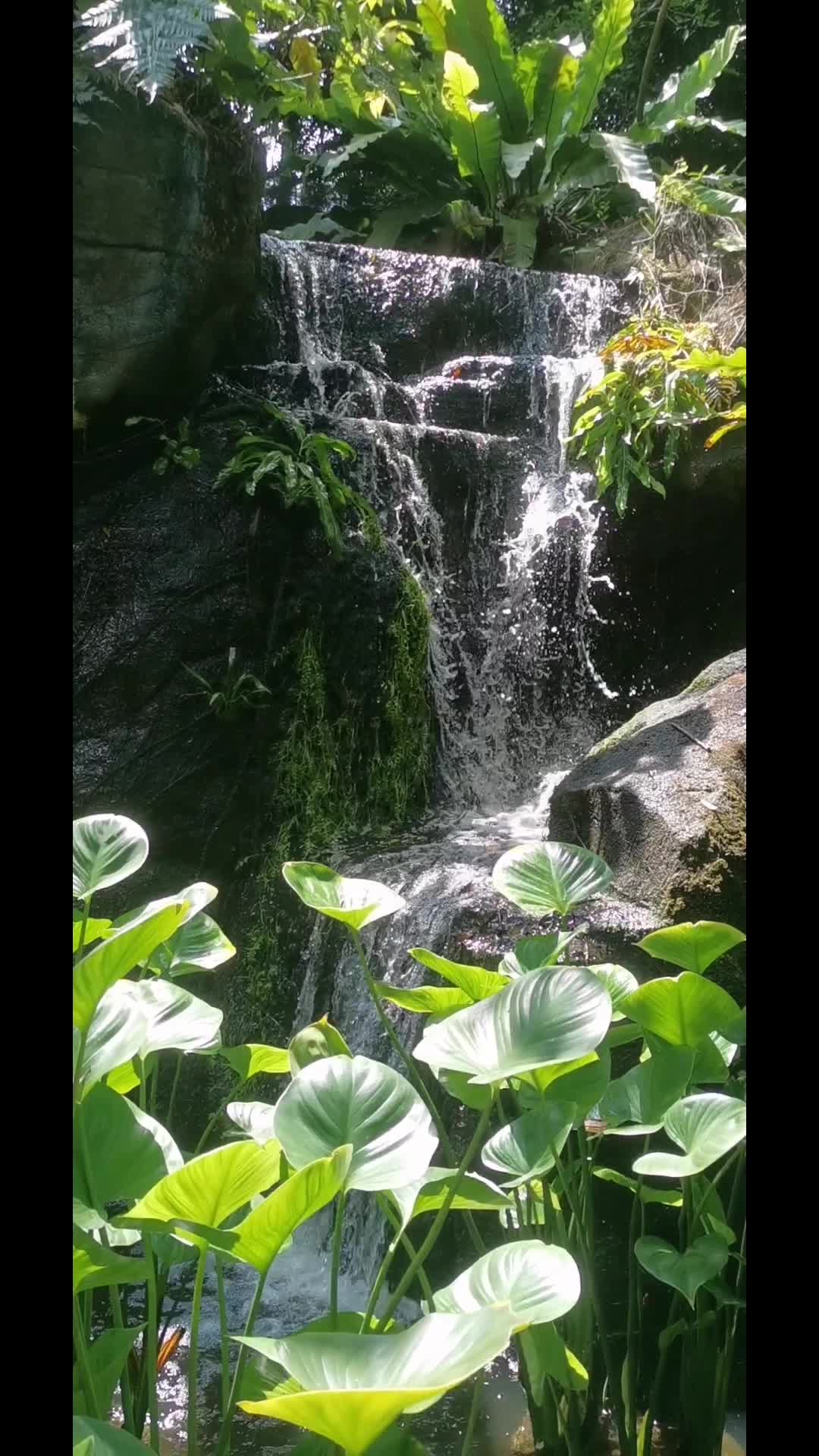@Thulasi
