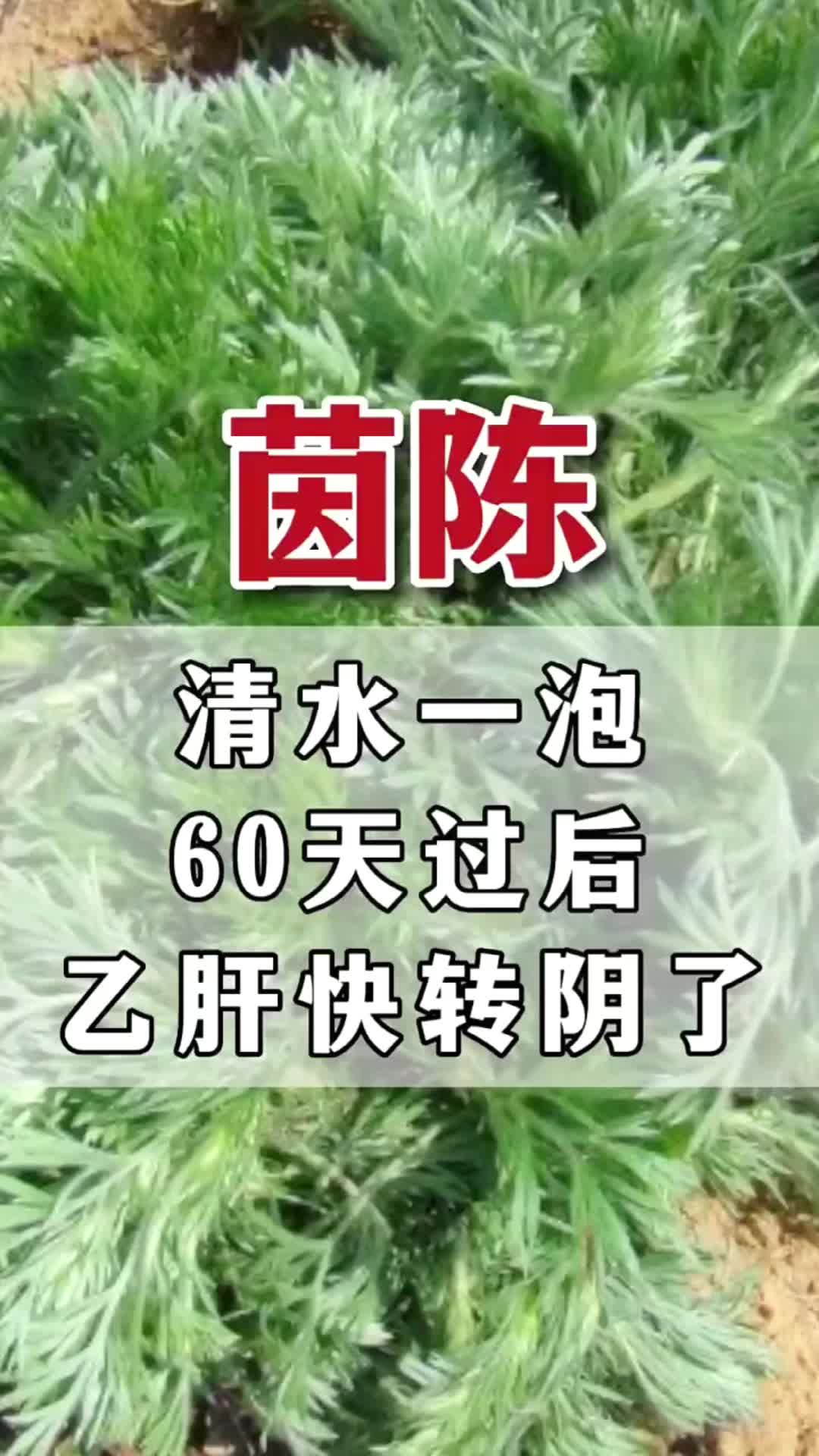 @laotang中医世家