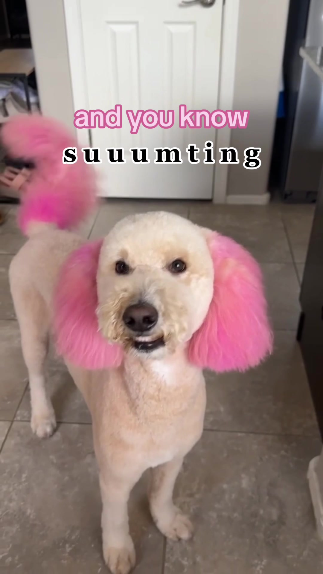 @Lia