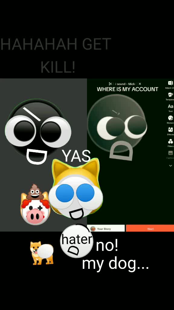 @inceiryz_hate_animals