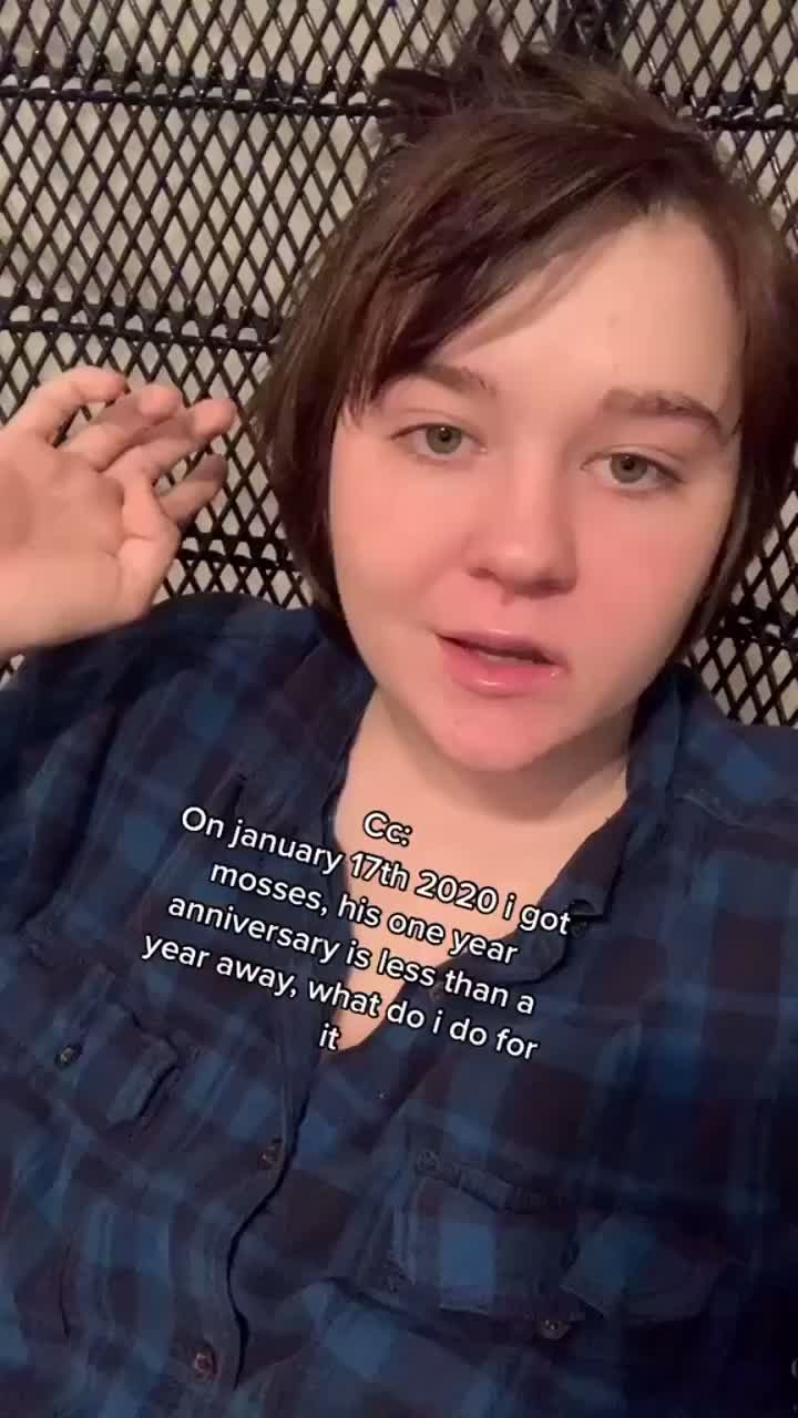 @tasteinsocks