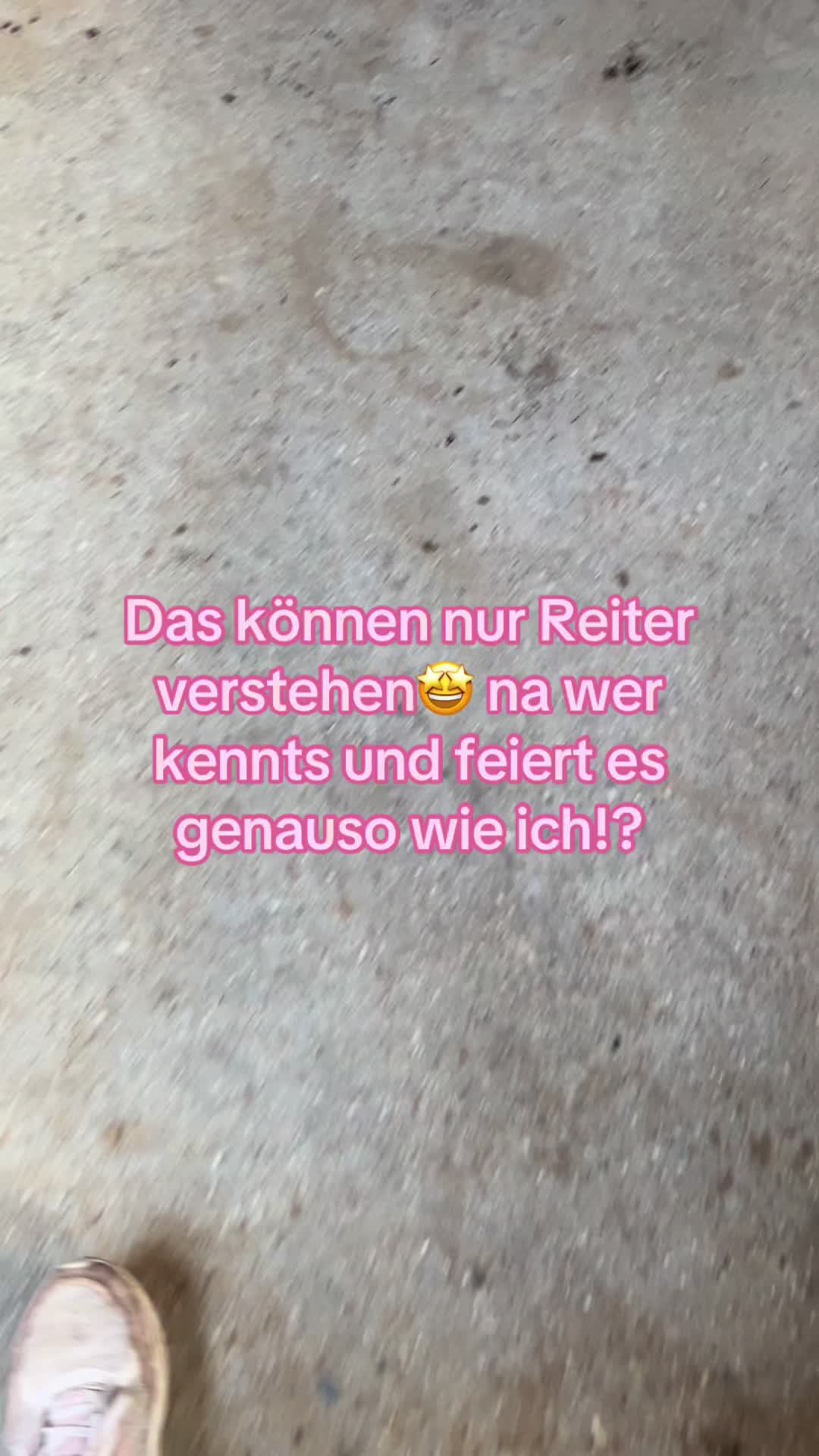 @Sissy und der wilde Pinsel