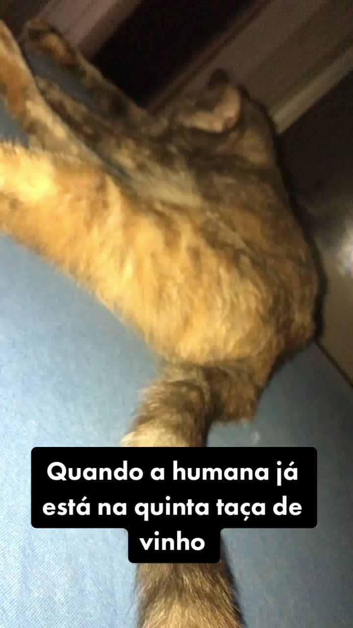@Raissa Rosa