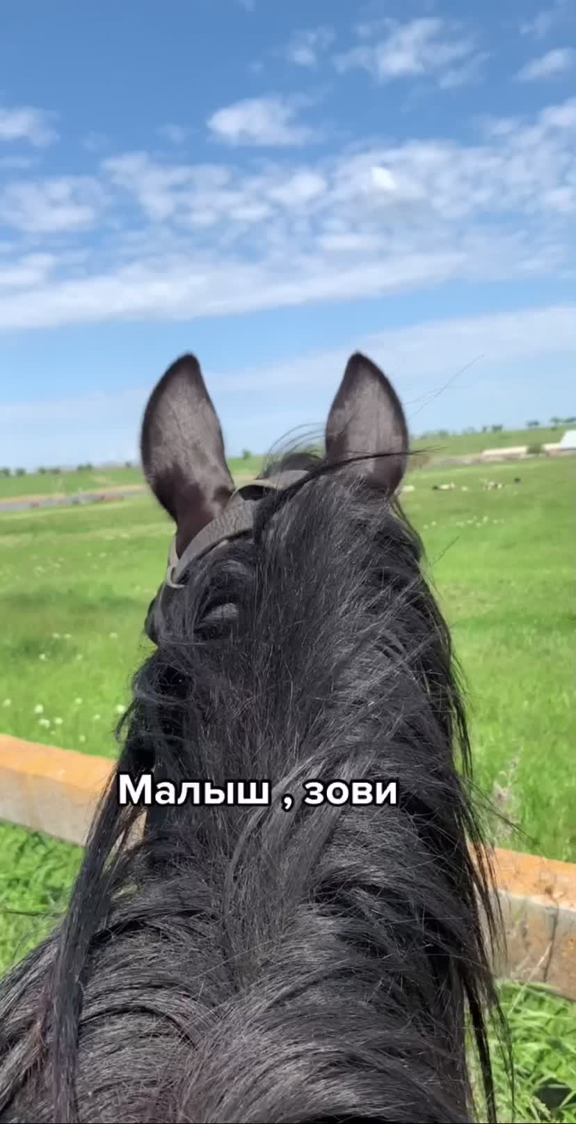@oks__tatarintseva